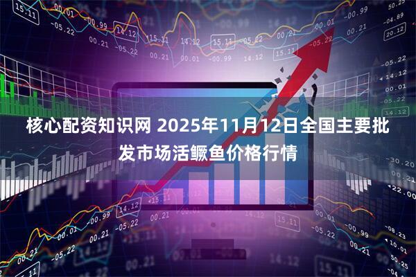 核心配资知识网 2025年11月12日全国主要批发市场活鳜鱼价格行情