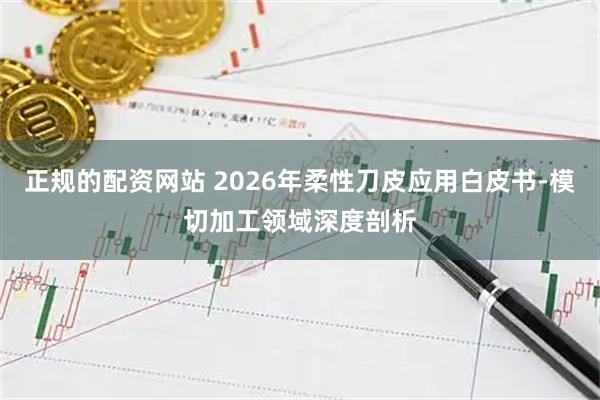 正规的配资网站 2026年柔性刀皮应用白皮书-模切加工领域深度剖析