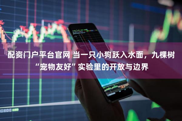 配资门户平台官网 当一只小狗跃入水面，九棵树“宠物友好”实验里的开放与边界